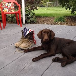 Meet your Posher, Martin